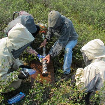 Group of students in body overalls collecting earth samples in the summer sun in a field of grass