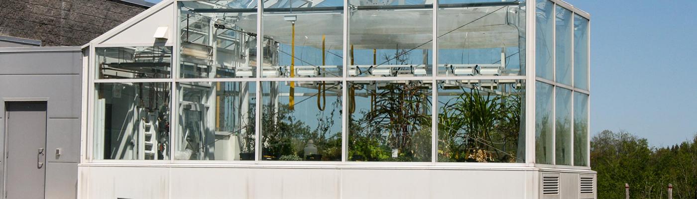 Exterior view of the DNA building greenhouse in the summer sunshine