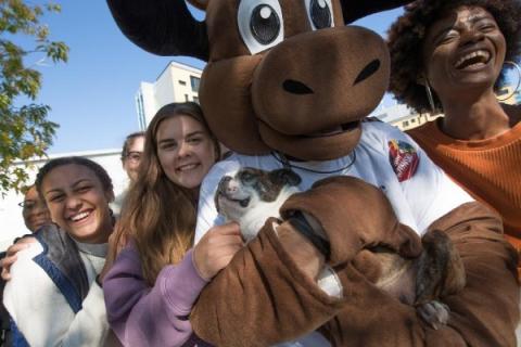 Gzowski's mascot BAMM posting with students while holding a dog.