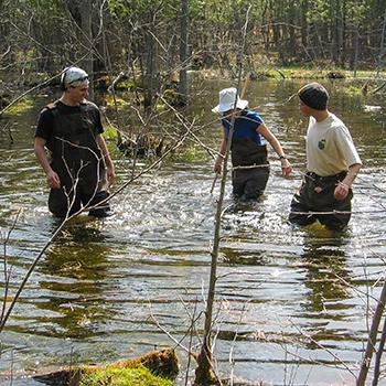 3 students in waders walking in a stream in the spring sunshine