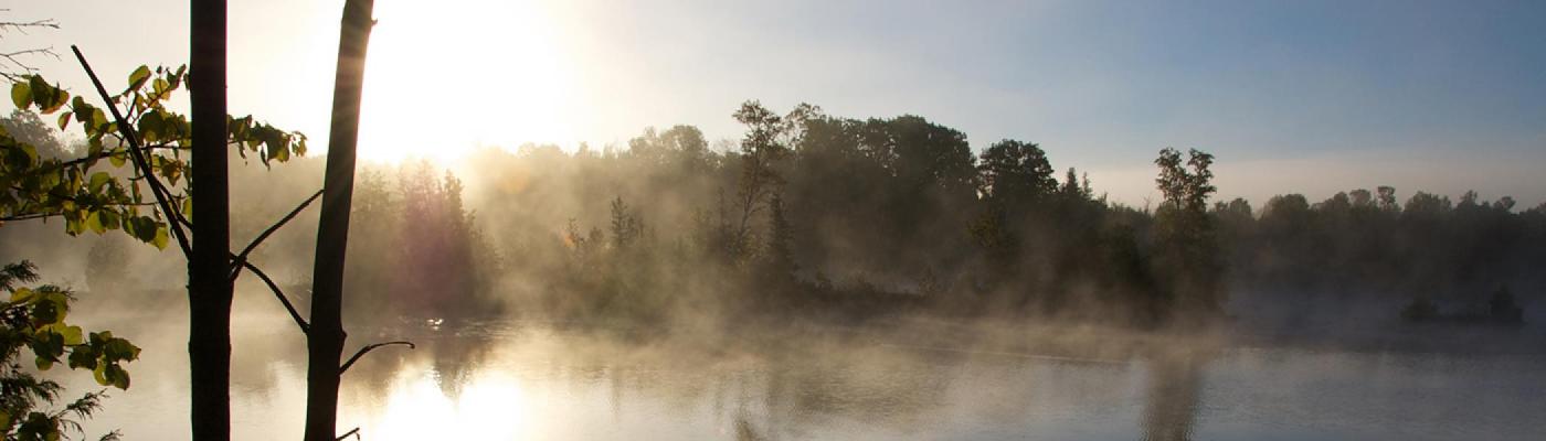 Mist on a lake in the morning summer sun