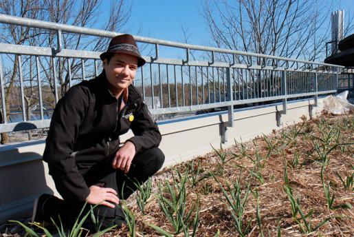 Students Grow Environmental Awareness on Trent’s Rooftop Gardens