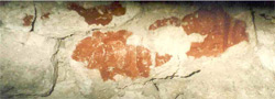 Trent University Archaeologists Uncover 