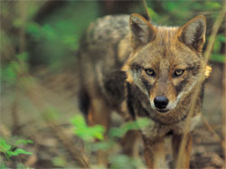 Trent University Research Fellow Intervi