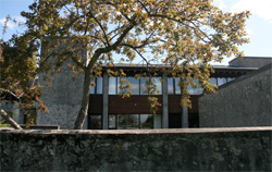 Physics of Chocolate and Food for Though