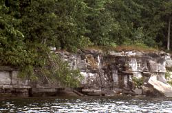 rock layers on Pigeon lake shoreline