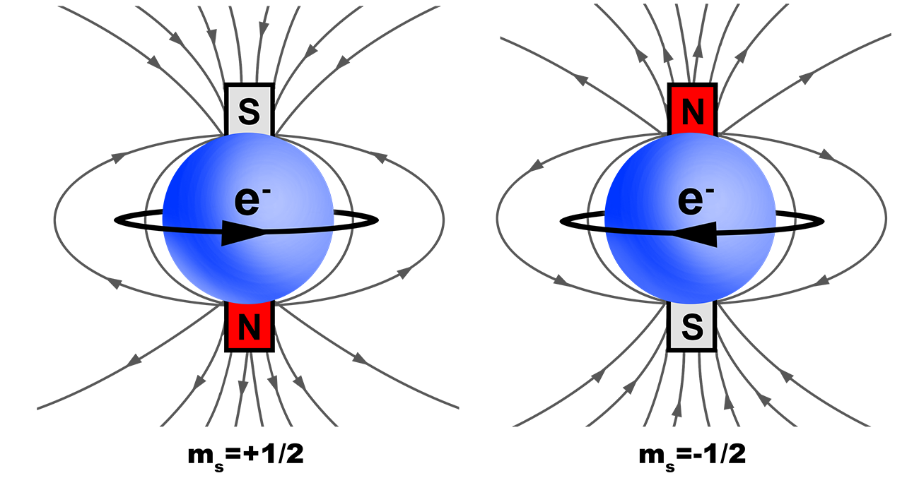 spin quantum number diagram