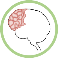 frontal lobe modal icon