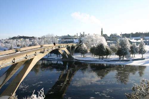 20080211WinterBeauty