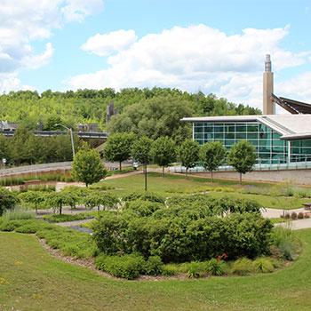 Picture of Trent's vibrant and green campus during a beautiful summer day