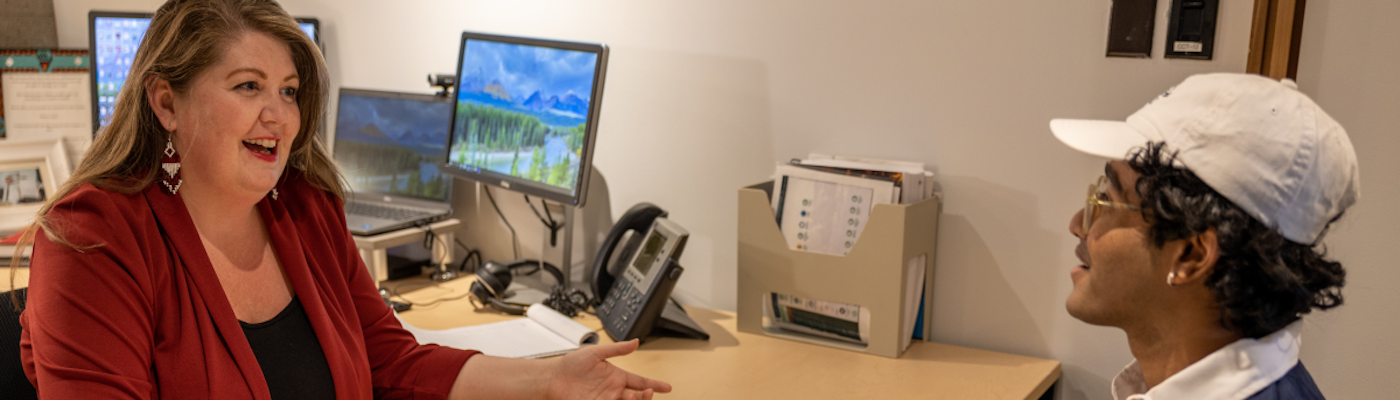 Student Meeting with an Advisor