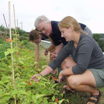 Program - Sustainable Agriculture and Food Systems - Trent University