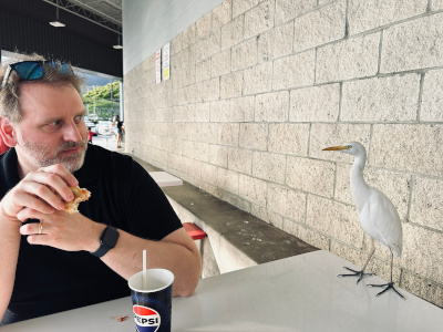 Paul Szpak with a cattle egret trying to steal his lunch