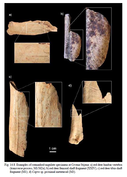 Examples of elements with cut marks (Morin and Soulier 2017)