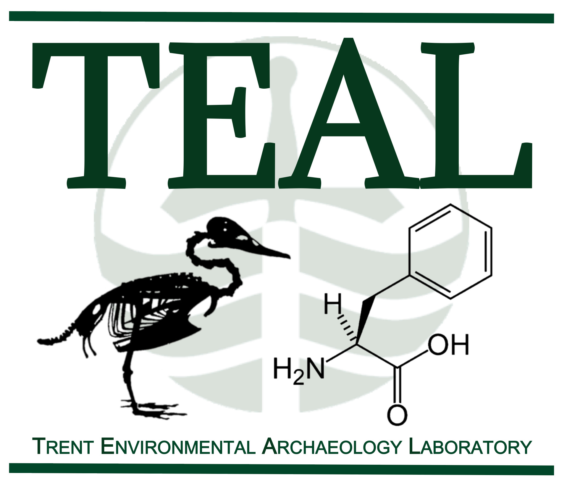 Trent Environmental Archaeology Lab logo