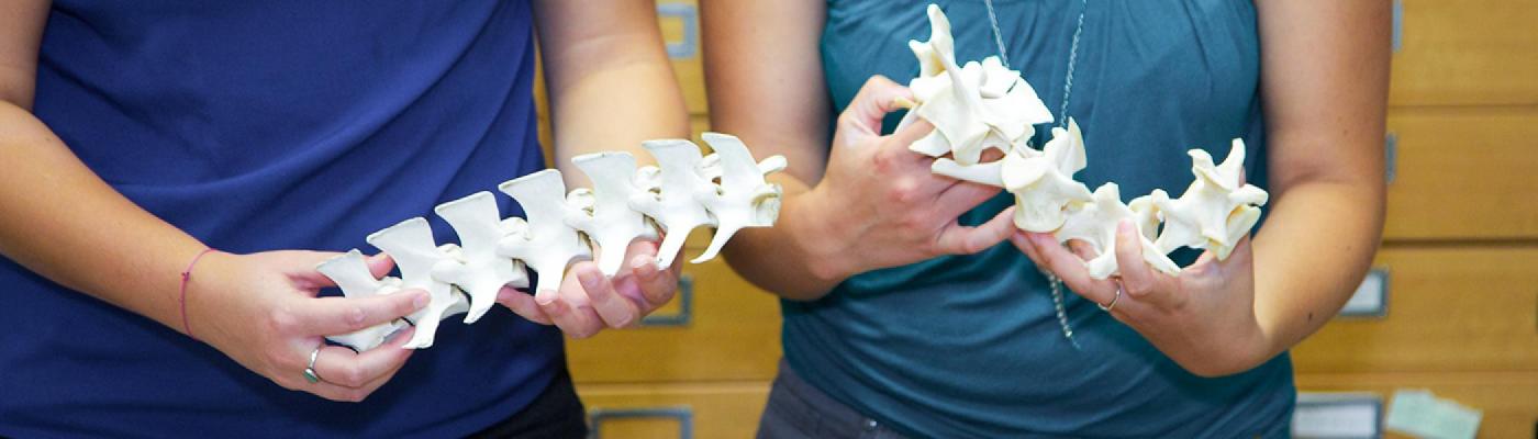 two trent staff hold up archaeological finds and present them to the Trent Archaeological Society