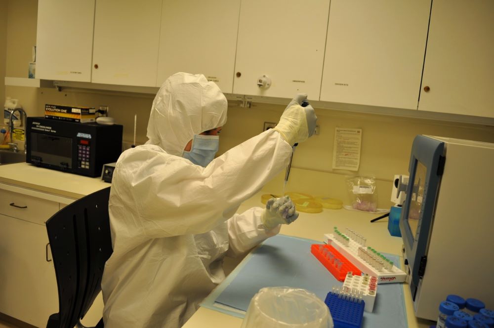 Arianne Boileau working with ancient DNA