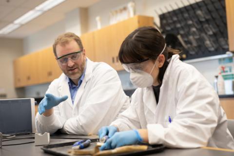 Paul Szpak instructing a student how to cut bone samples