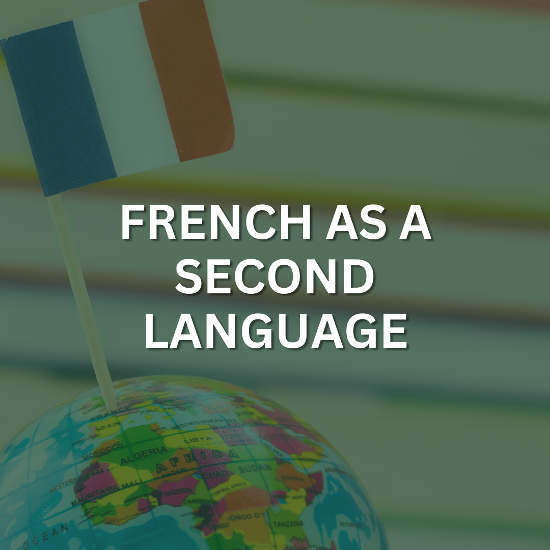 Globe with a flag of France