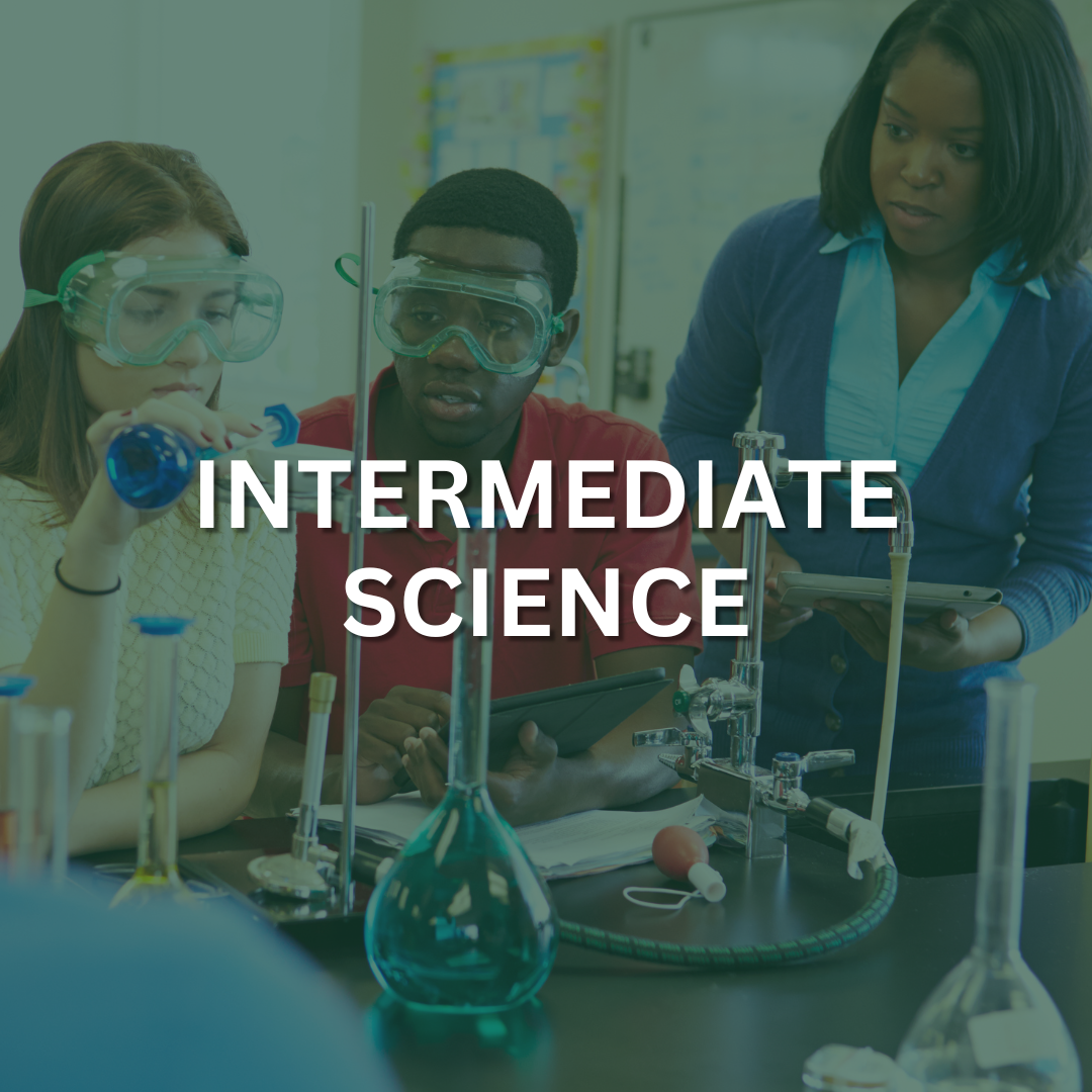 A teacher is watching as two students in safety goggles conduct a science experiment