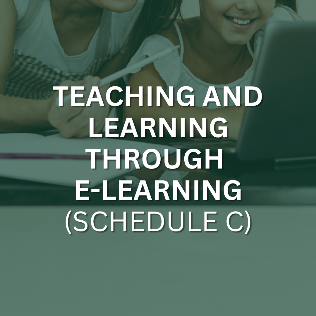 Teacher and young student looking at a laptop screen