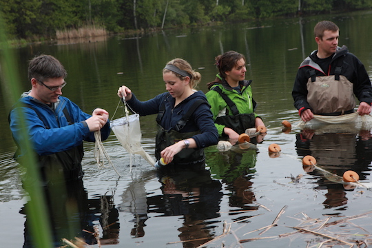 Students collecting samples in a local river