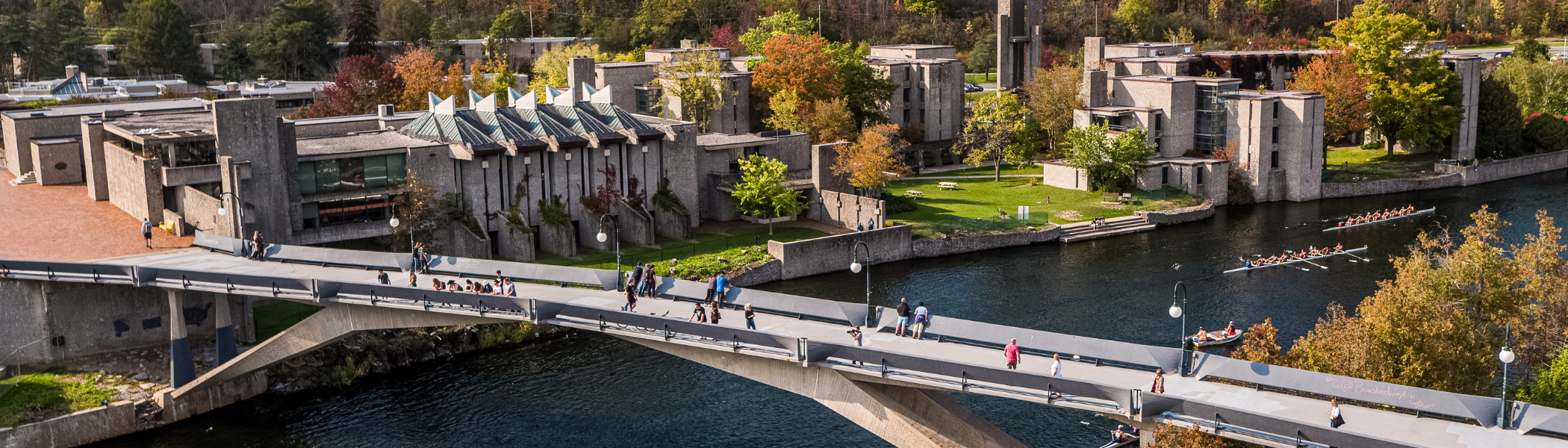 faryon bridge rowers