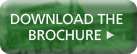 Download the Brochure