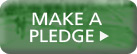 Make a Pledge Today!