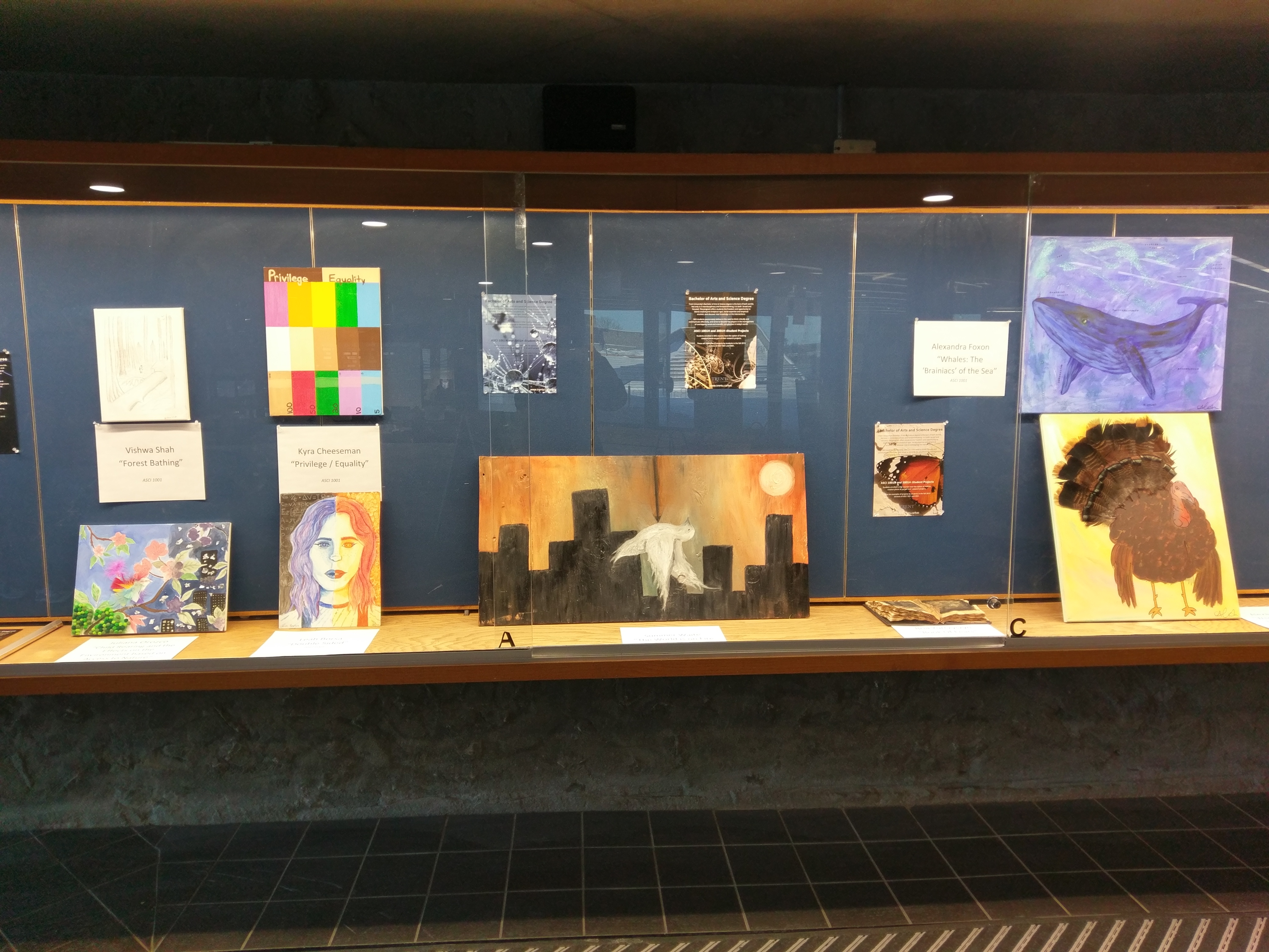 photo of student project work in display case