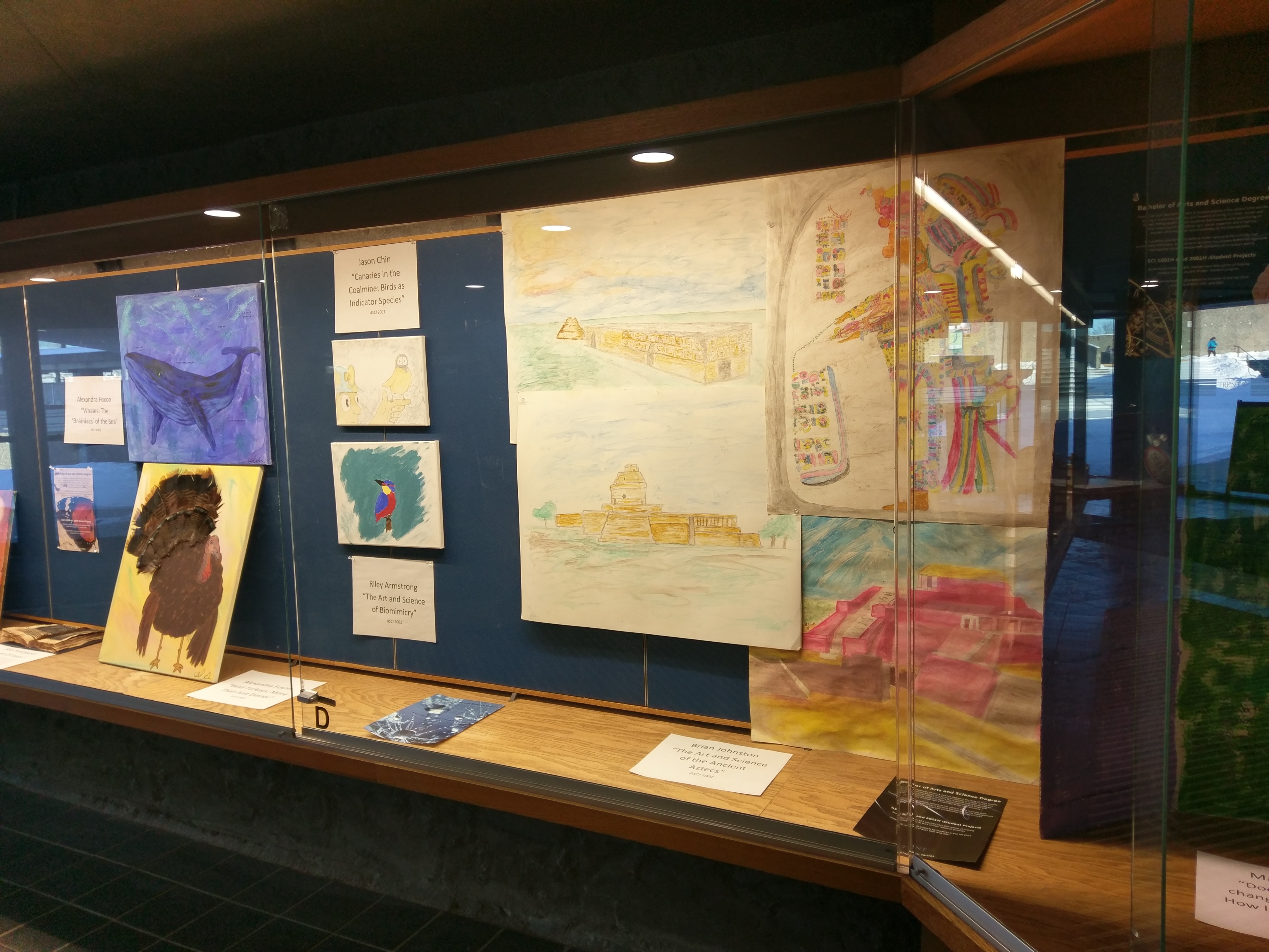 photo of student project work in display case
