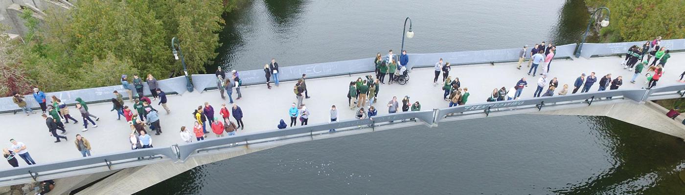 Aerial view of Faryon Bridge