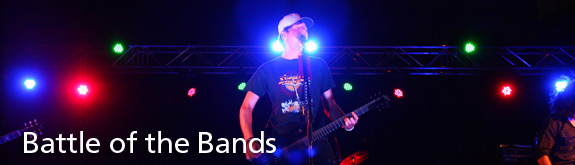 Section Description - picture description