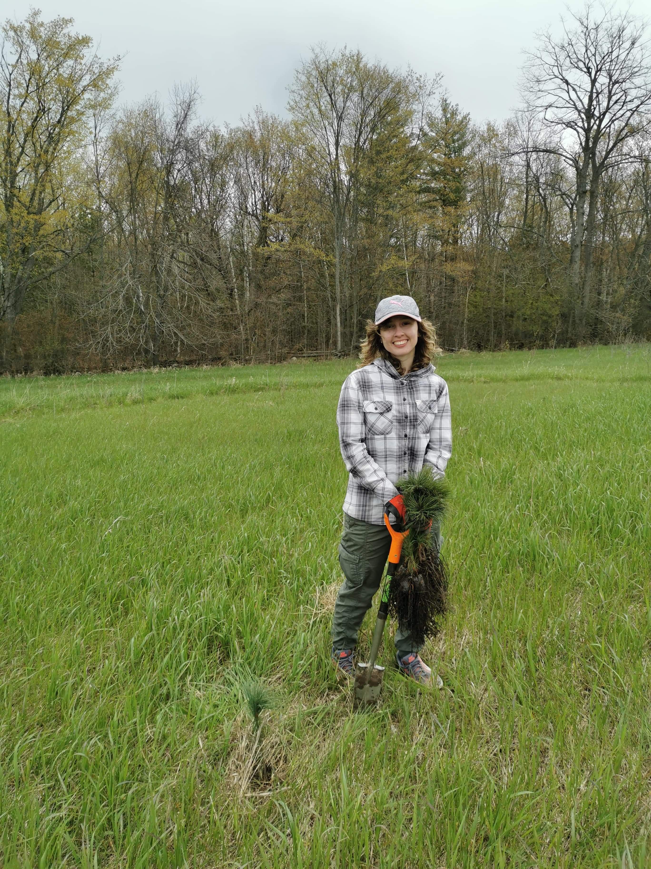 Student planting tree seedlings