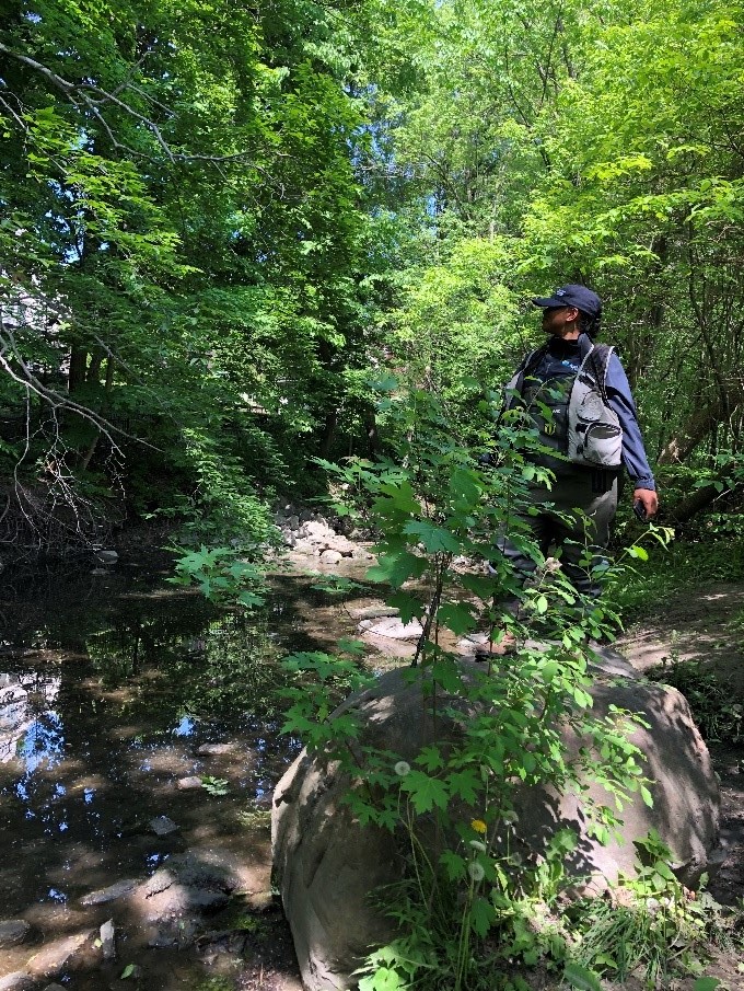 Student in forested area by stream