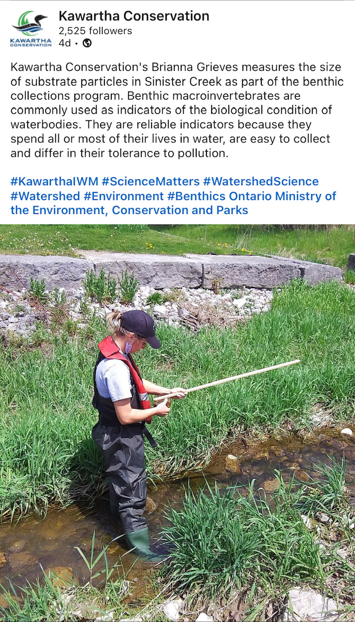 Student measuring flow in stream