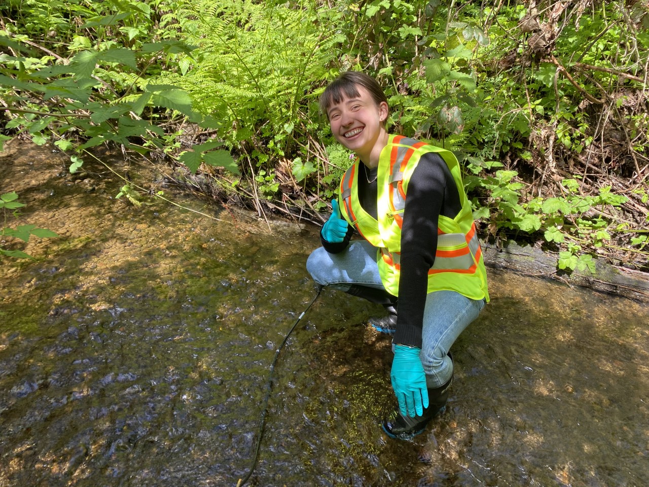 Student sampling a stream