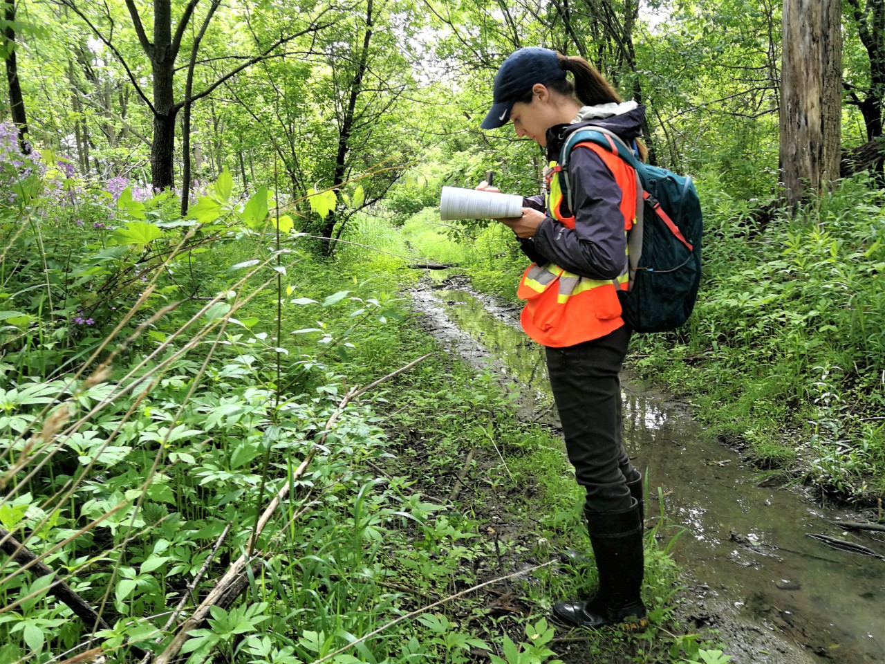 Student making observations in forest