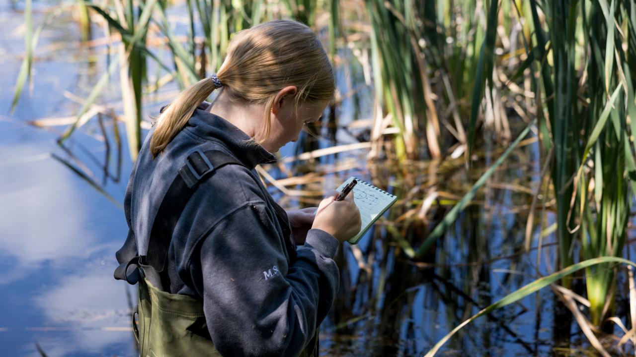 Student taking notes in wetland
