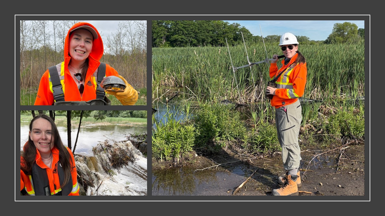 Student with turtle and telemetry equipment
