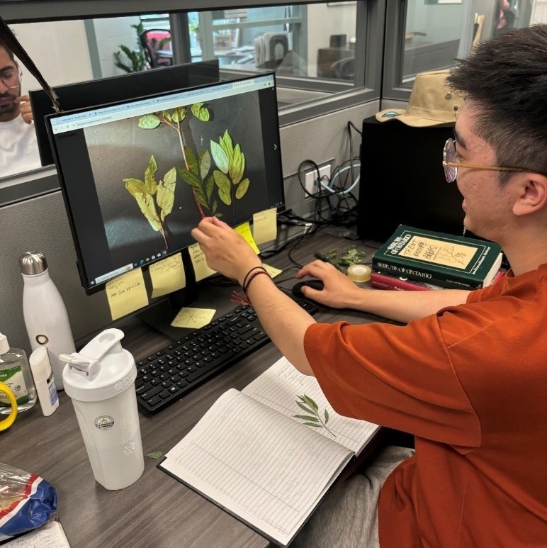 student identifying plant species