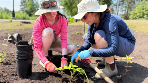 students planting shrubs
