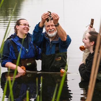 A professor and 2 students standing in a river in waders looking at a riverbed sample that the professor is holding