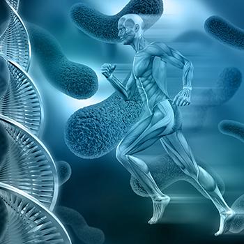 Strands of DNA, cells and musculoskeletal system