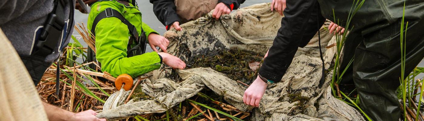 A group of people holding a net in a river looking at samples