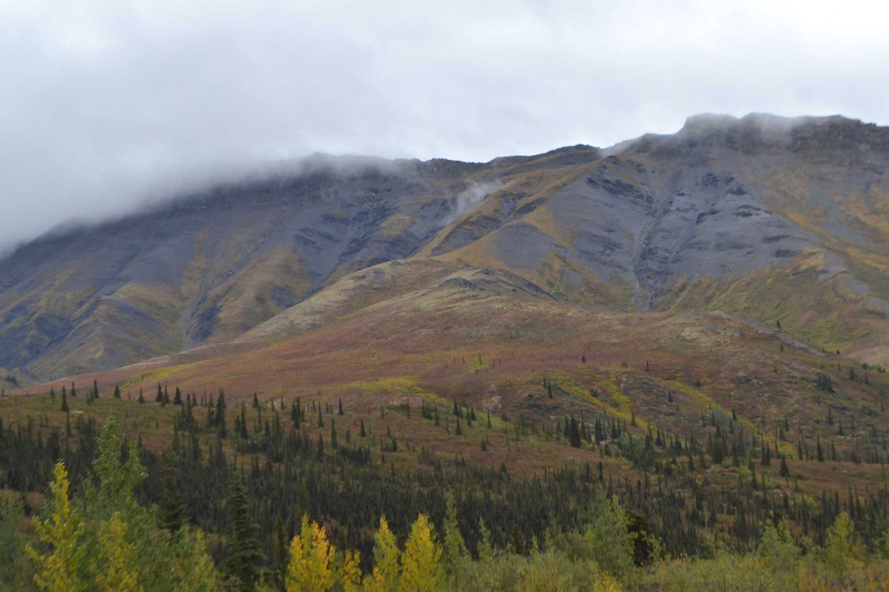 Misty mountain ridge in fall-like colours