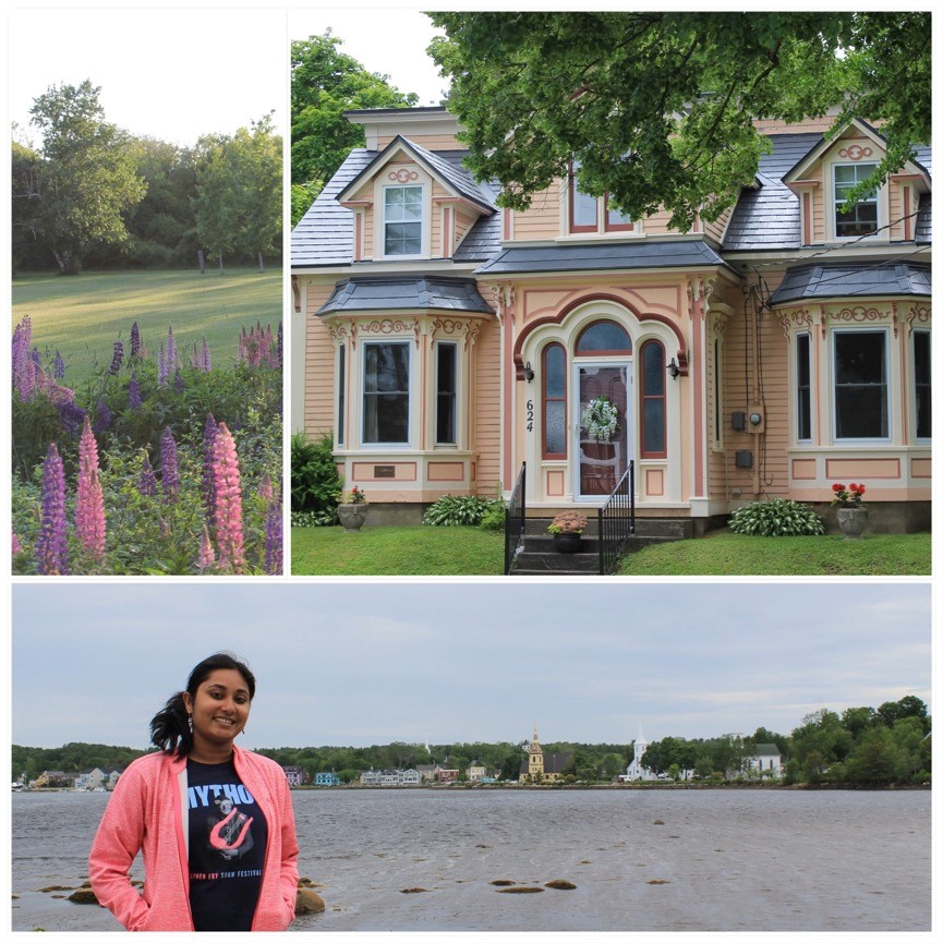Montage of photos: Lupins, peach coloured gabled house, and smiling person standing by shoreline