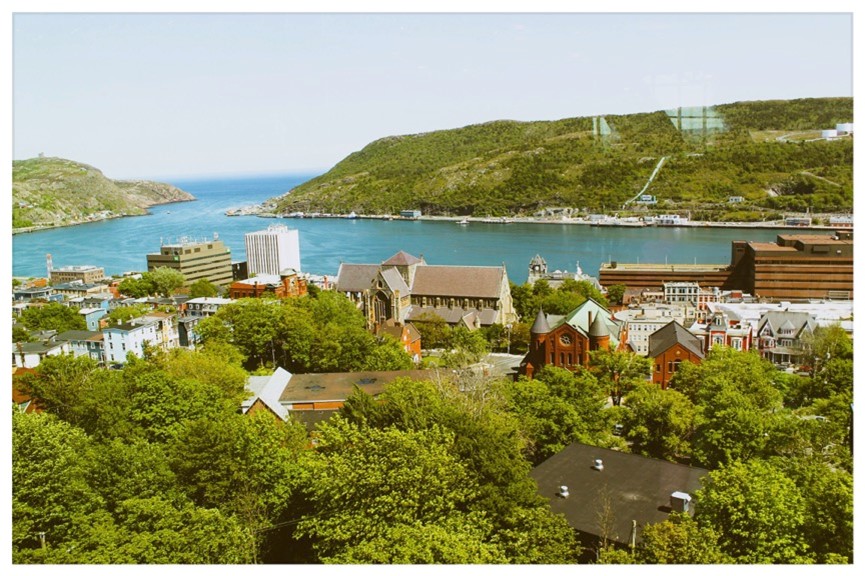 Looking down into trees neighborouhood on ocean shoreline with headlands in the distance