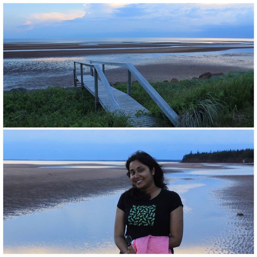 Montage: red sanded shoreline at dusk, and person smiling standing on shoreline