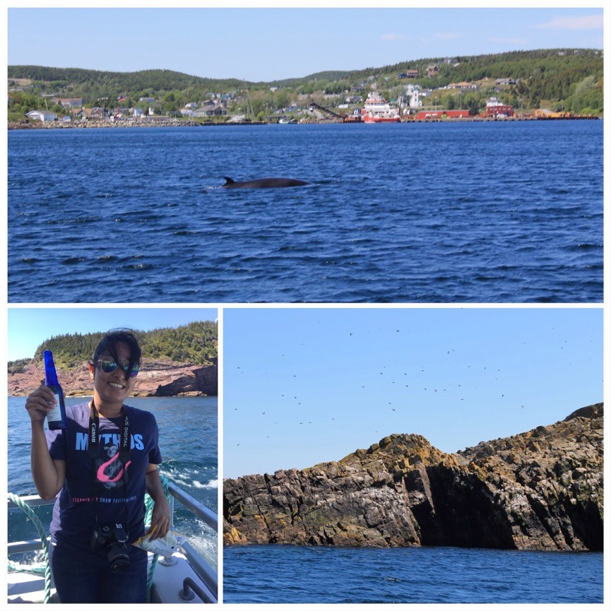 Montage; water and siatant shoreline with wale, smiling person holding up bottle to camera, rocky shoreline with many birds
